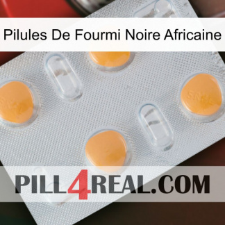 African Black Ant Pills 24